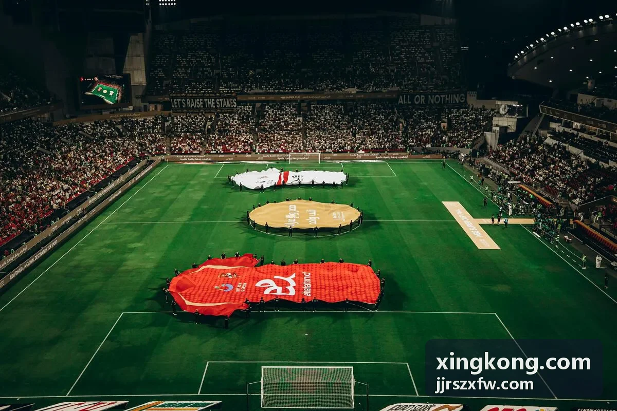 xingkong.com 星空企业连接平台可视化
